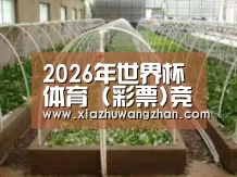 环境展示五