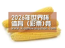 产品名称五