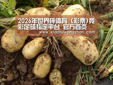 种植基地六