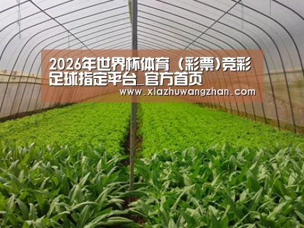 种植基地四