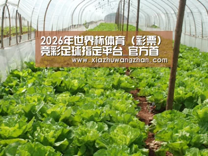 种植基地五