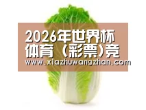 产品名称一