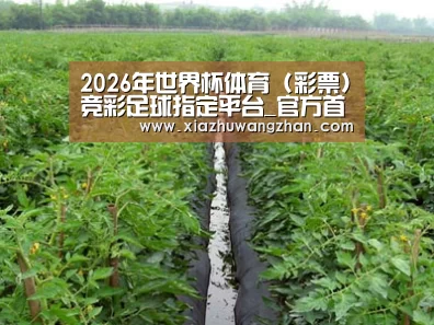 种植基地三