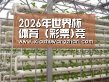 环境展示六
