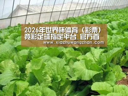 种植基地一