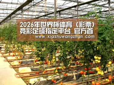 种植基地二(图1)