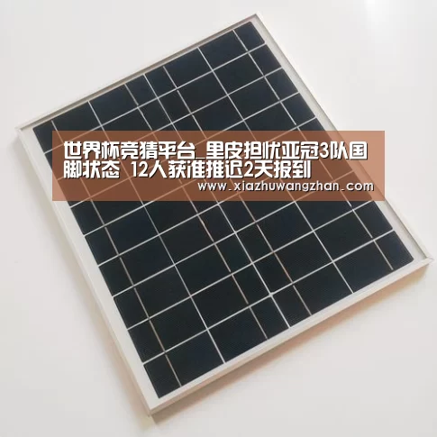 世界杯竞猜平台_里皮担忧亚冠3队国脚状态 12人获准推迟2天报到(图2) 世界杯竞猜平台官网