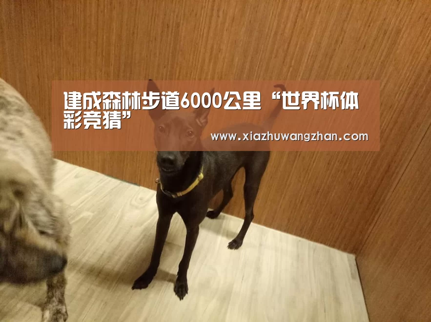 建成森林步道6000公里“世界杯体彩竞猜”(图3) 世界杯竞猜平台